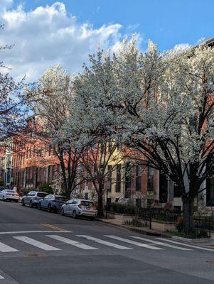 Why wouldn't you want to come to this charming neighborhood!