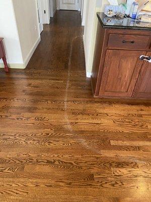 Hardwood Floor Damage