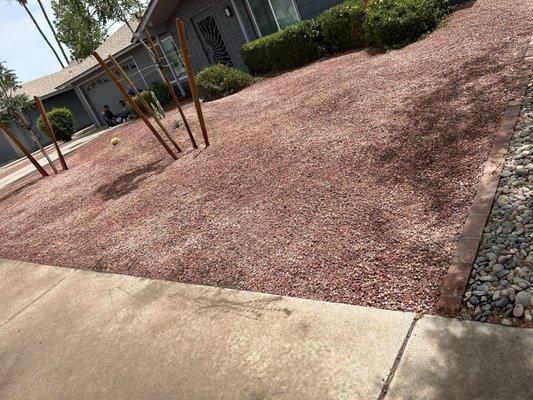 The front yard landscape underwent a transformation, replacing grass with a desert landscape. Picture # 2