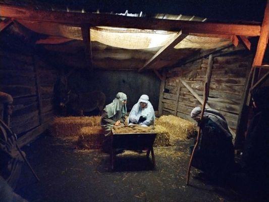 The tradition continues for our fam' for one more year ... Living Nativity on camel night!