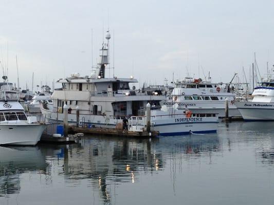 The boat at dock