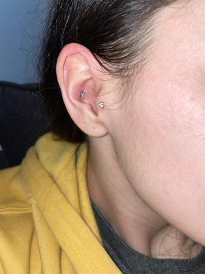 Current 2024 picture of my healed conch and tragus!  Double lobes are healed as well!