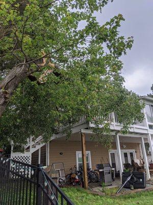 Tree down on house