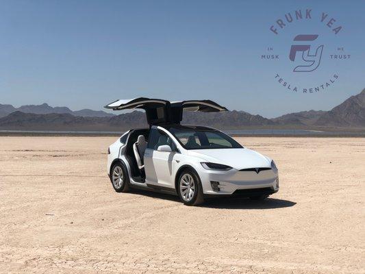 Our spacious 2018 Tesla Model X with white interior.