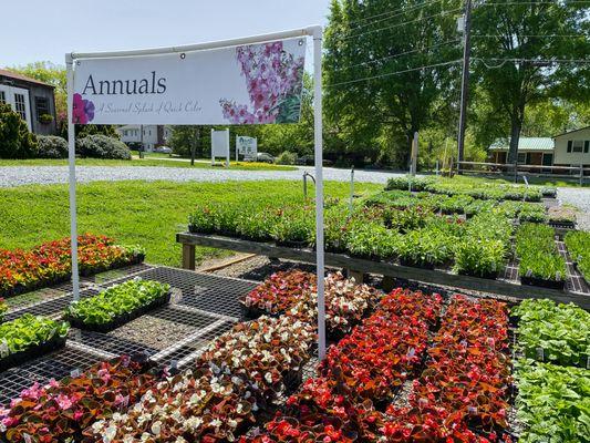 Mitchell's Nursery & Greenhouse