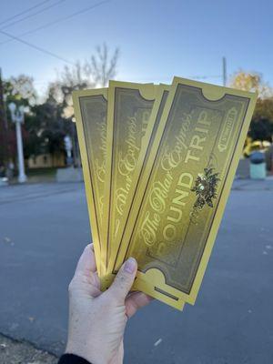 Golden ticket to get on the Polar Express train.