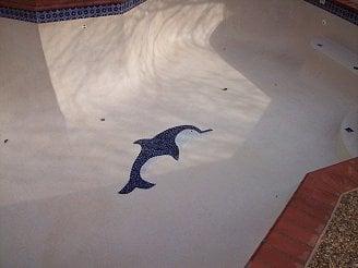 After Acid Wash and Tile Clean. We can make your Pool look new again!