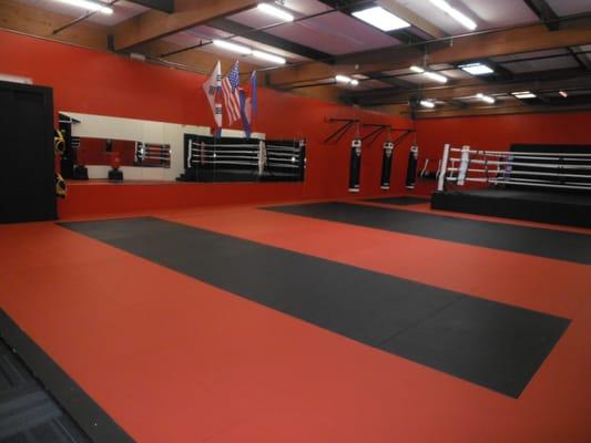 Taekwondo Studio