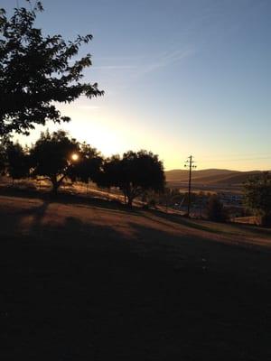 Sunset at the Dog Park.