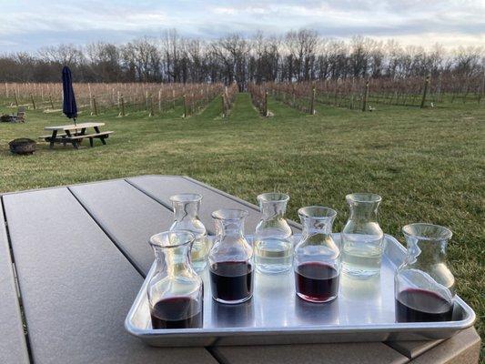 Wine flight