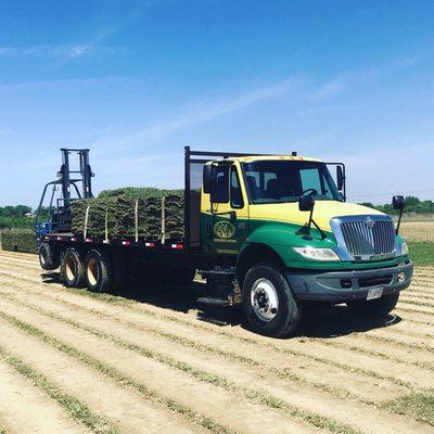 Our sod delivery truck!