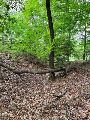 Fort Totten Park