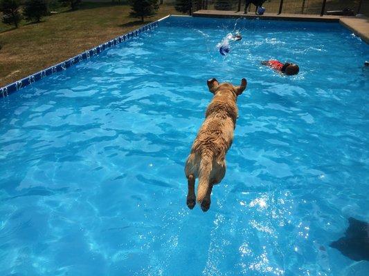 Rudy luvs the Pool!!