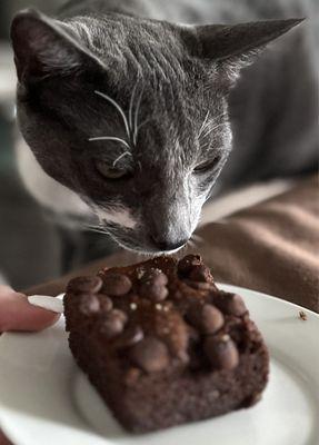 Brownie