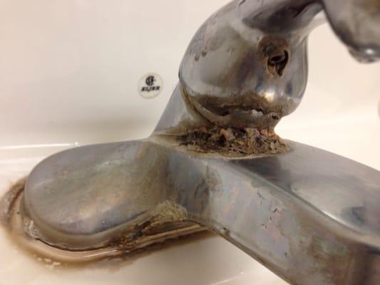 Hands down, this is the most disgusting bathroom sink I have ever encountered in a restaurant.