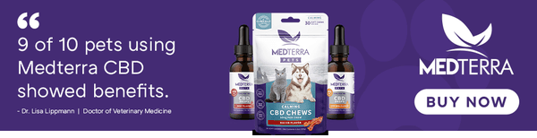 Pet CBD products in store!