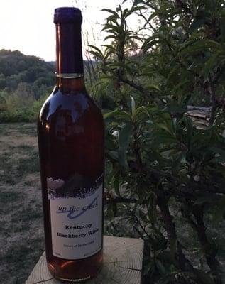 Kentucky Blackberry Wine, not too sweet, just right!