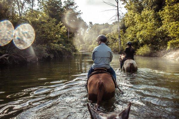 Get lost in the enchanting forests & cross creeks on our trusted horses! We will take care of you & your sense of adventure!