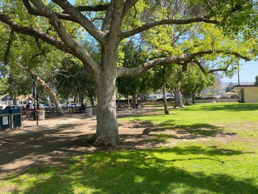 Picnic area