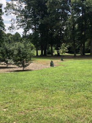 Disc golf course