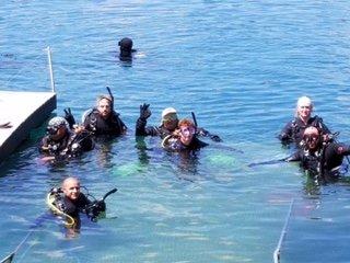 Group dive for a day of fun