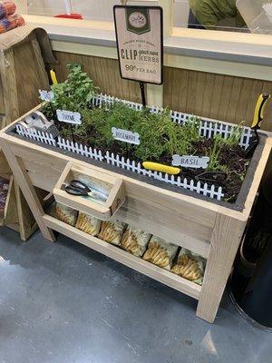 Clip your own herbs