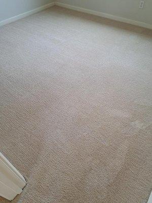 Bedroom carpets