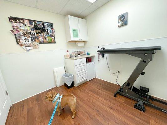 Complete Veterinary Care