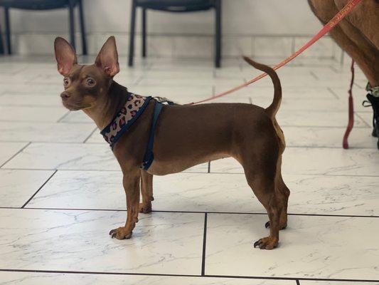 Cleo, in the waiting room, awaiting for her name to be called