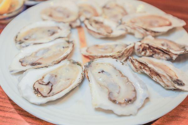 Oysters