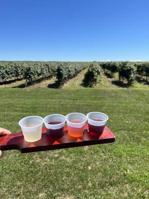 Flight and vineyards