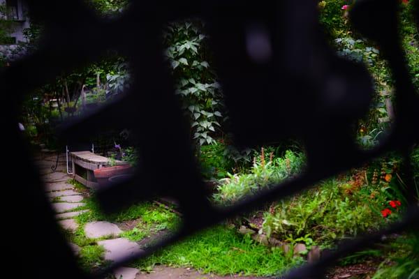 Hidden Gardens of NYC