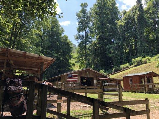 Nantahala stables