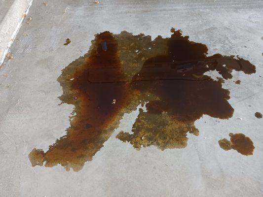 After KWIK START, I woke up to all of the oil in my crankshaft on my garage floor. May quarts in that puddle.