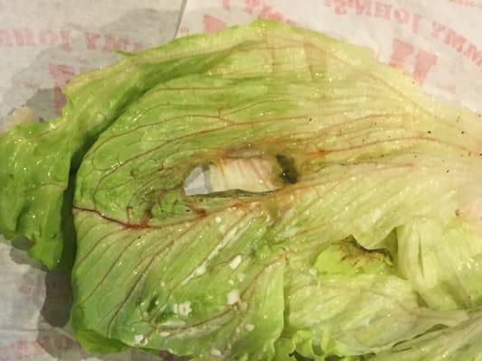 Yes that is rotten lettuce from this Jimmy Johns.