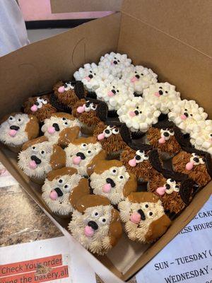 Custom Dog Cupcakes