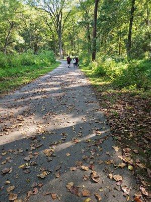 On the way to the Mossy Ridge trail