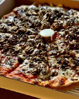 Large Cheese Pizza, mushrooms, well done, extra sauce.