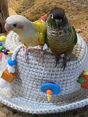 Jade and Sol with their new hat