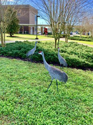 Seminole State College's Sanford/Lake Mary campus.