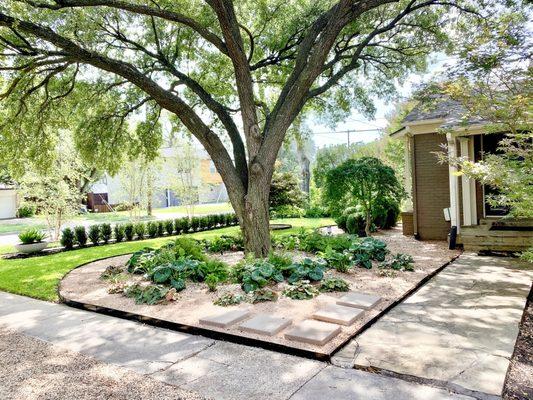 Simple, low maintenance and beautiful front yard.