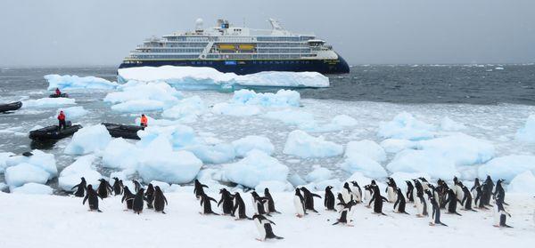 Antarctica with Lindblad