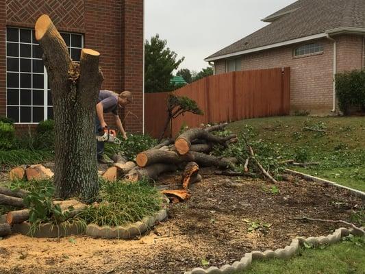 Total Unique Tree Service