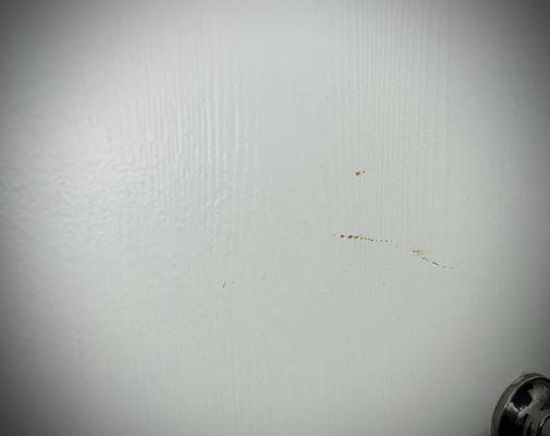 Bathroom door. ( can't identify what nasty crap this is)