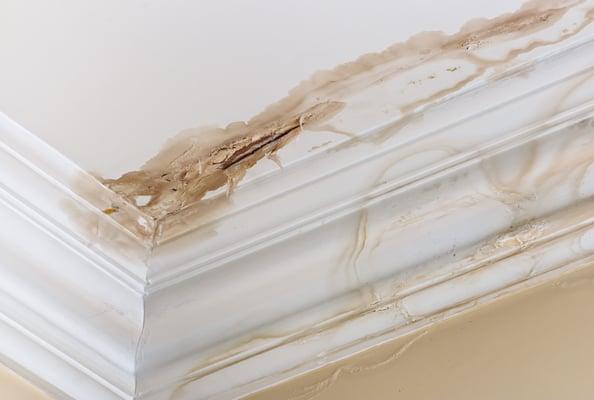 Leaking Ceiling Insurance Claims