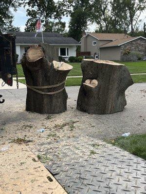 Tree trunk carried over house via crane