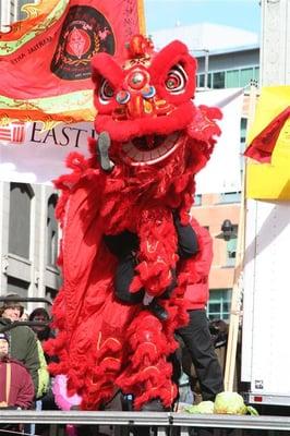 Lion dance performance