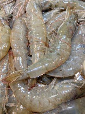 Fresh with head shrimps