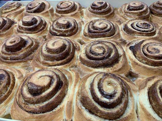 Fresh Made Cinnamin Rolls with Cream Cheese Icing