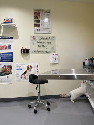 Little Tokyo Pet Clinic